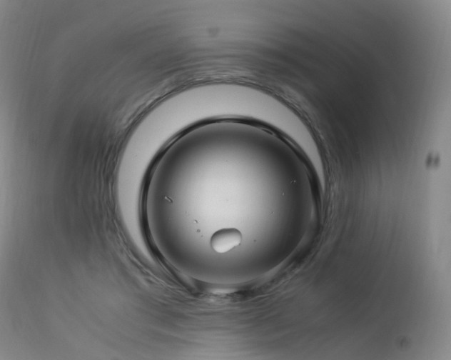 X0000112880405200908211456