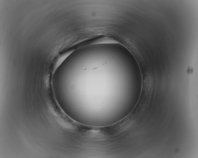 X0000112880406200908211456