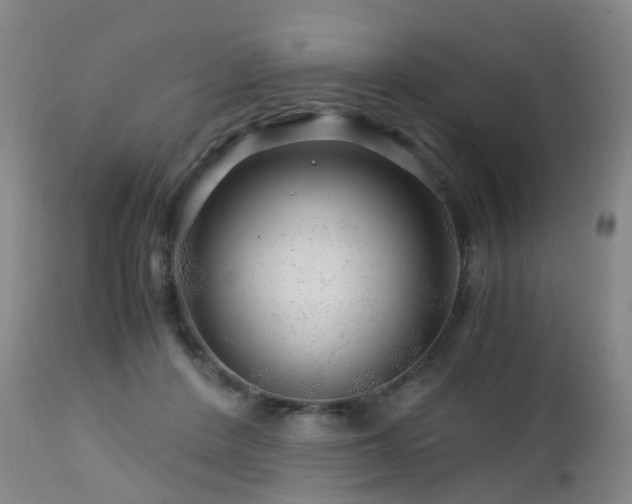 X0000112880408200908211456