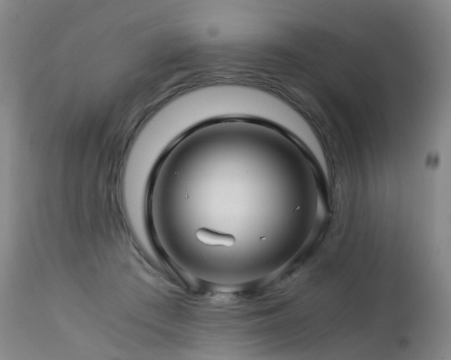 X0000112880409200908211456