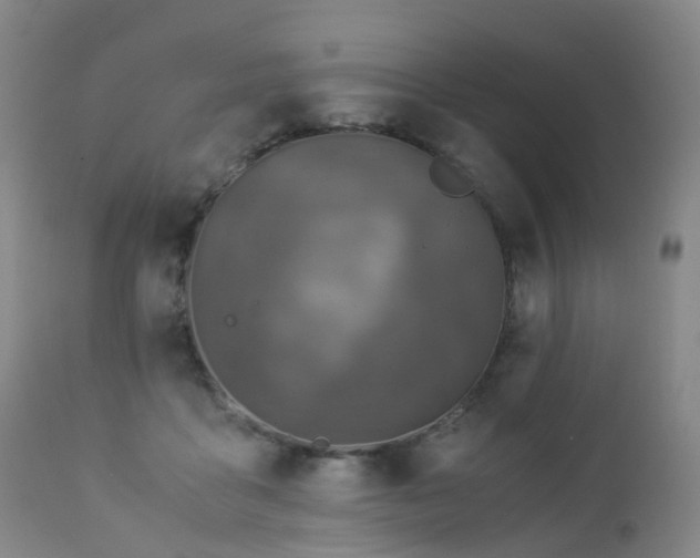 X0000112880411200908211456