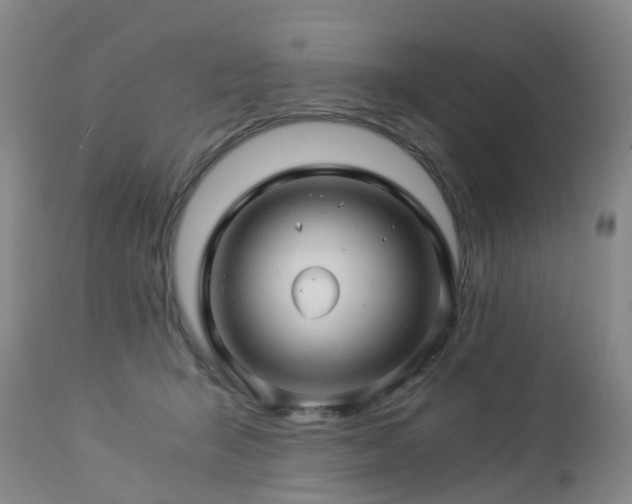 X0000112880415200908211456