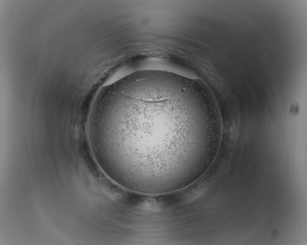 X0000112880416200908211456