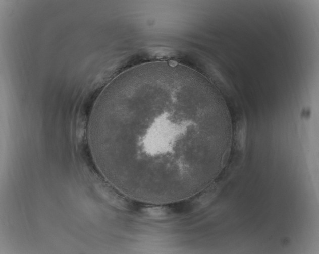 X0000112880417200908211456