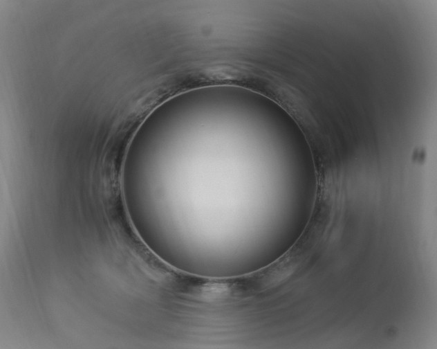 X0000112880418200908211456