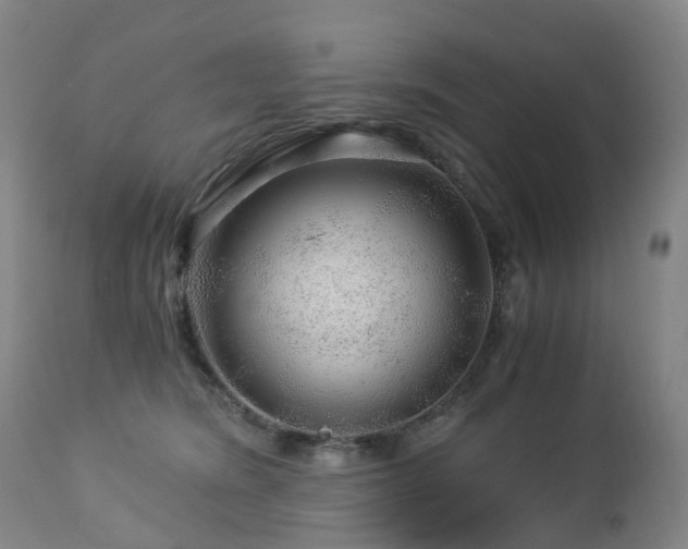 X0000112880420200908211456