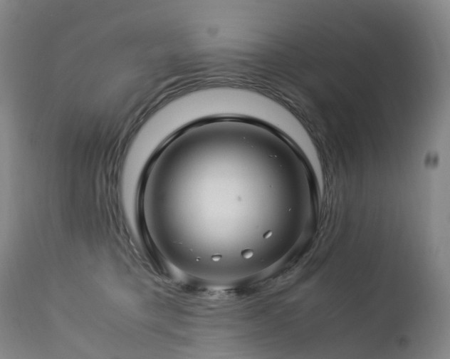 X0000112880421200908211456