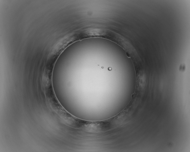 X0000112880422200908211456