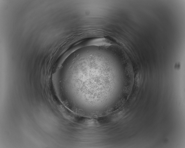 X0000112880424200908211456