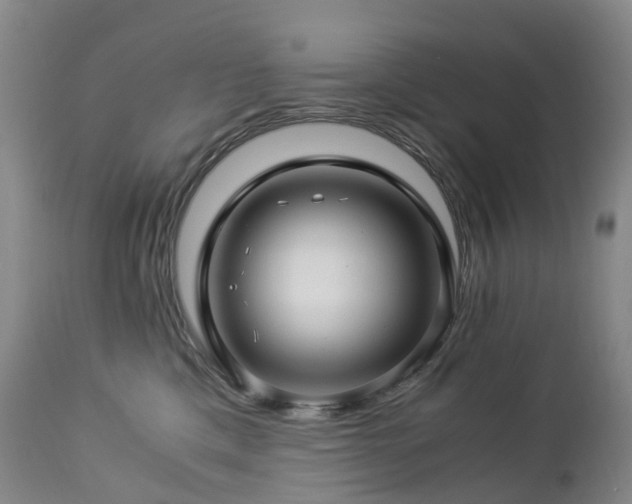 X0000112880425200908211456