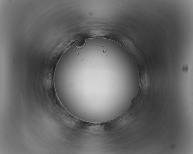 X0000112880426200908211456