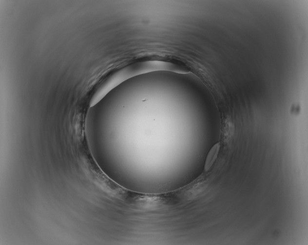 X0000112880428200908211456