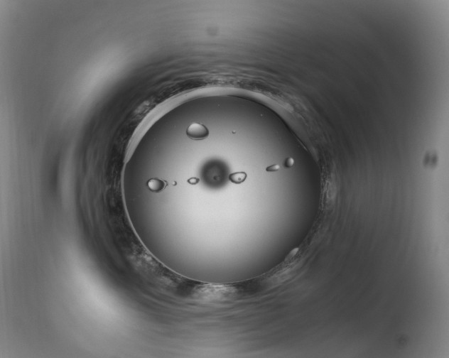 X0000112880429200908211456