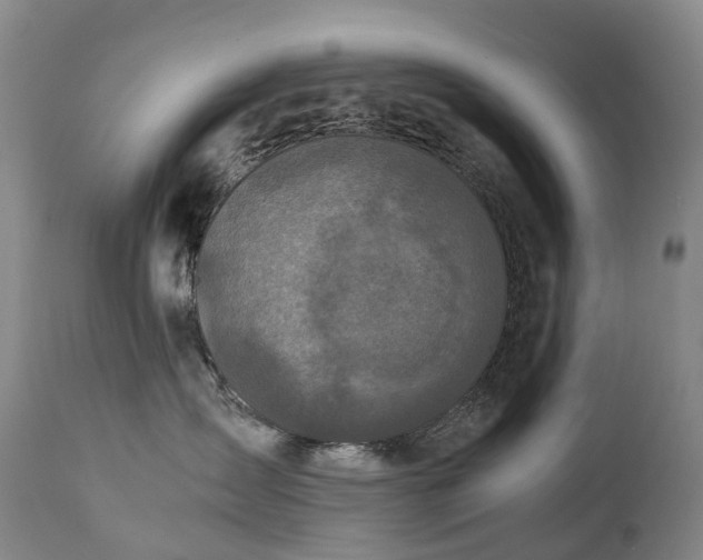 X0000112880431200908211456