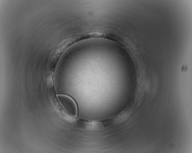 X0000112880432200908211456