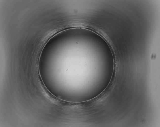 X0000112880433200908211455