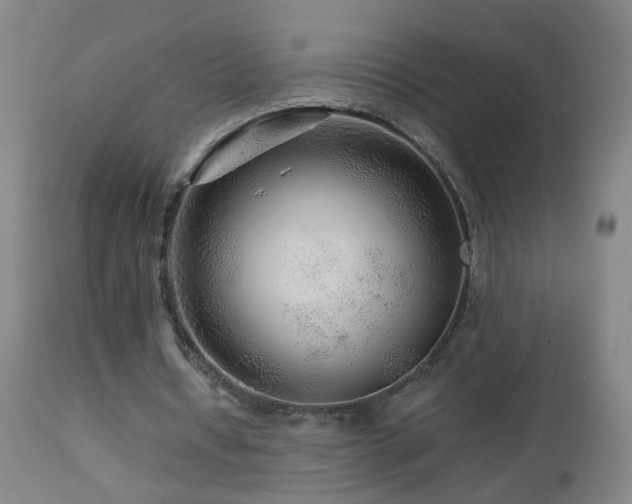 X0000112880434200908211455