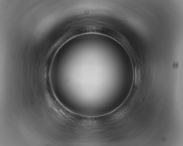 X0000112880435200908211455