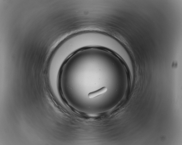 X0000112880436200908211455