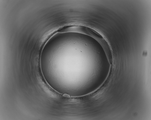 X0000112880437200908211455