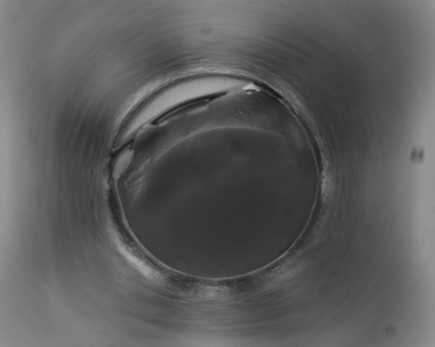 X0000112880438200908211455