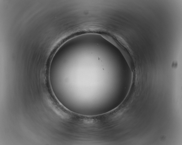 X0000112880439200908211455