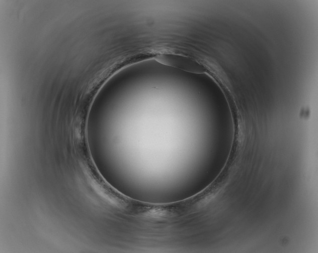 X0000112880441200908211455