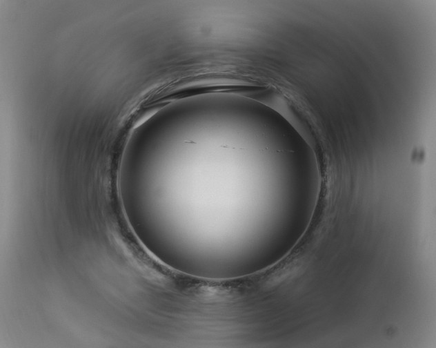 X0000112880442200908211455