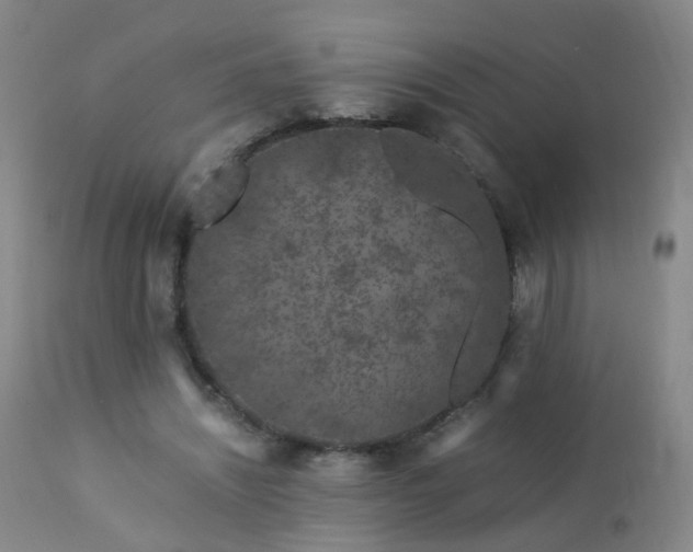 X0000112880444200908211455