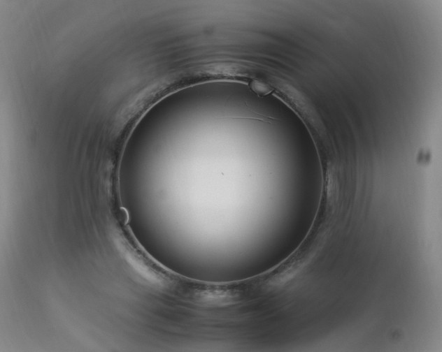 X0000112880445200908211455