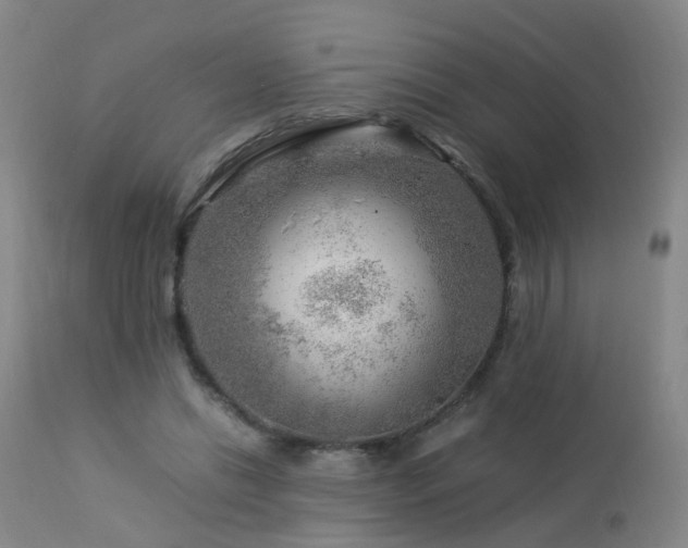 X0000112880446200908211455