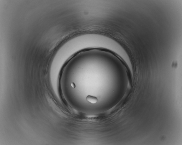 X0000112880448200908211455