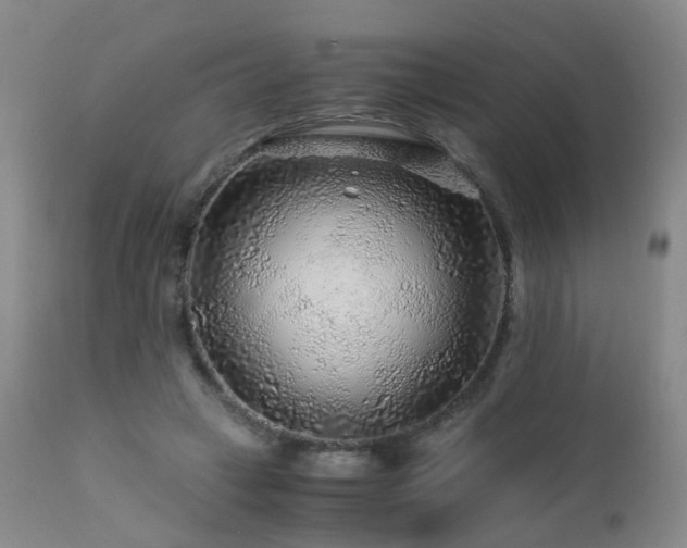 X0000112880449200908211455