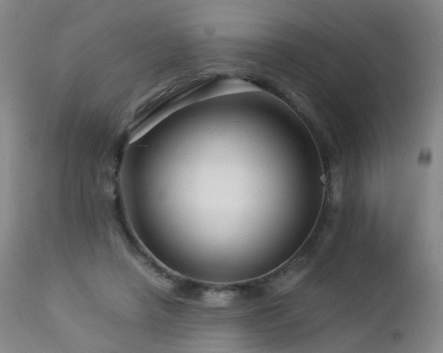 X0000112880450200908211455