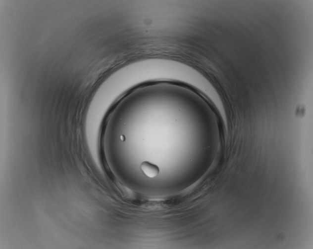 X0000112880452200908211455