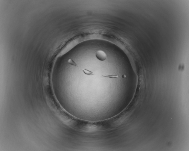 X0000112880453200908211455