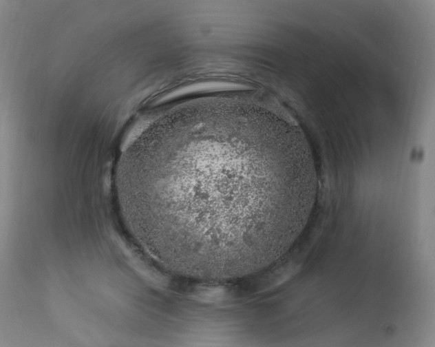 X0000112880454200908211455