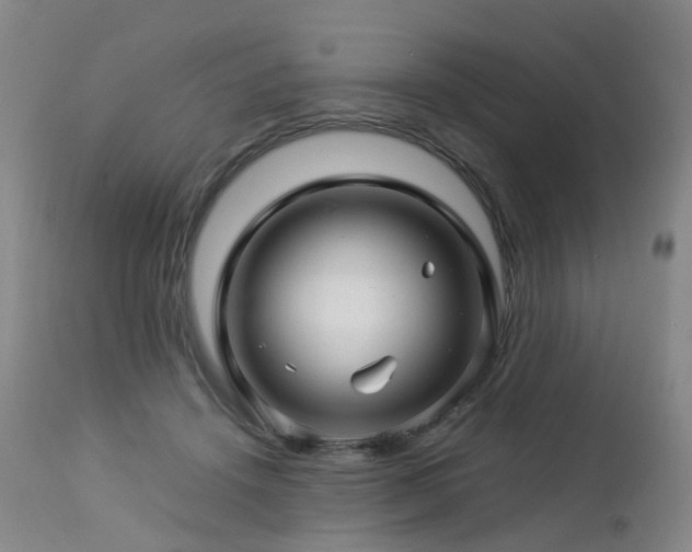 X0000112880456200908211455