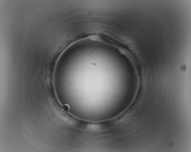 X0000112880457200908211455