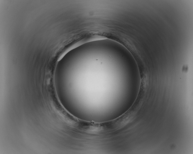 X0000112880458200908211455