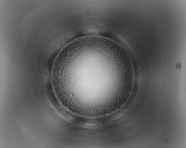 X0000112880459200908211455