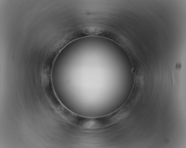 X0000112880460200908211455