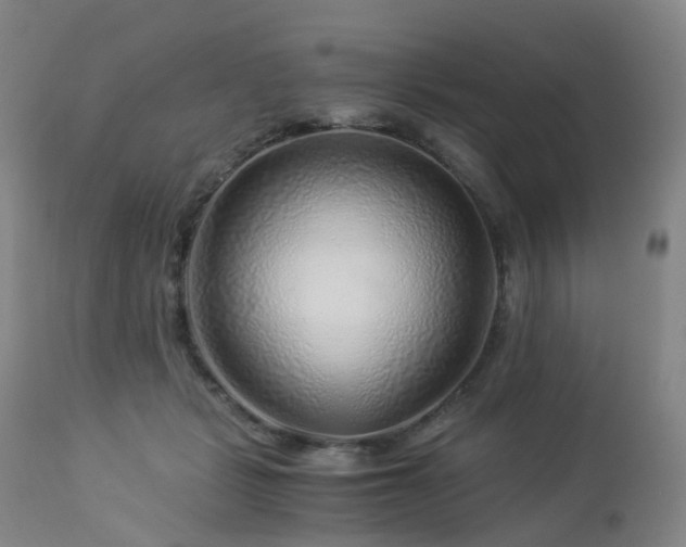 X0000112880461200908211455