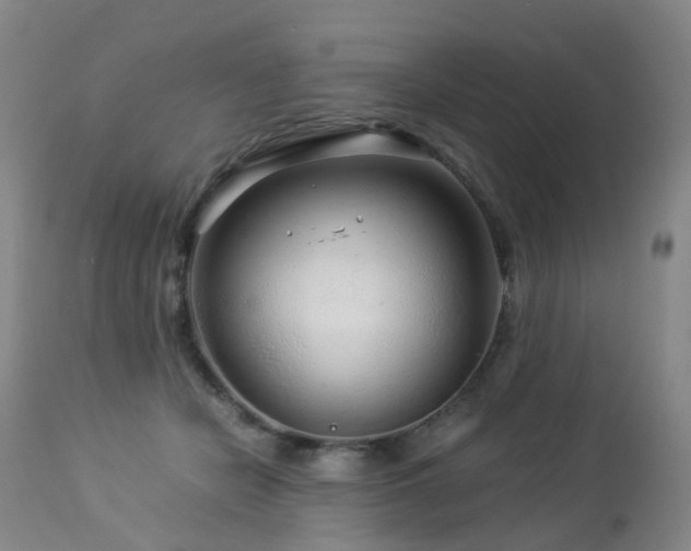 X0000112880462200908211455