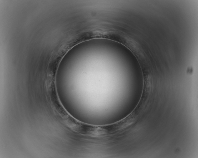 X0000112880463200908211455