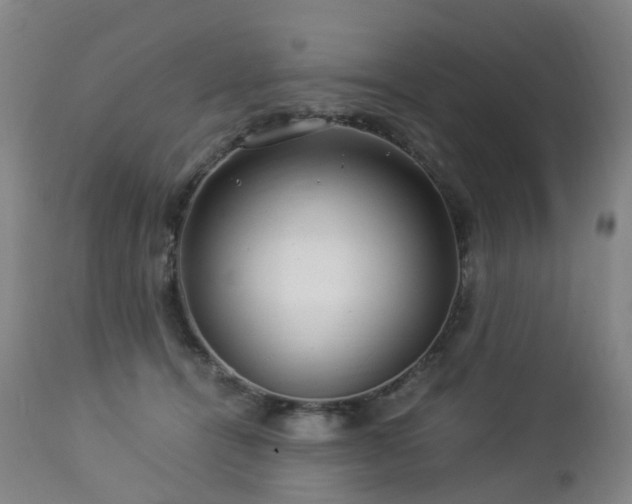 X0000112880464200908211455