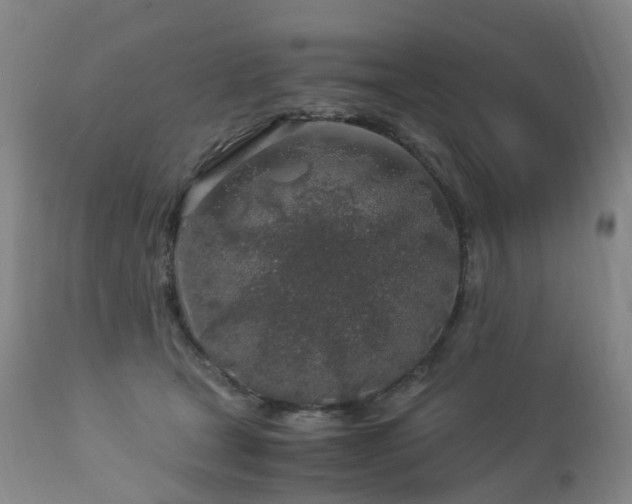 X0000112880465200908211455