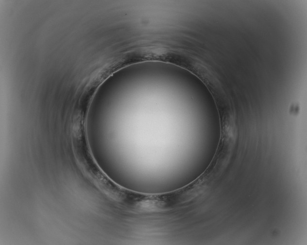 X0000112880468200908211455