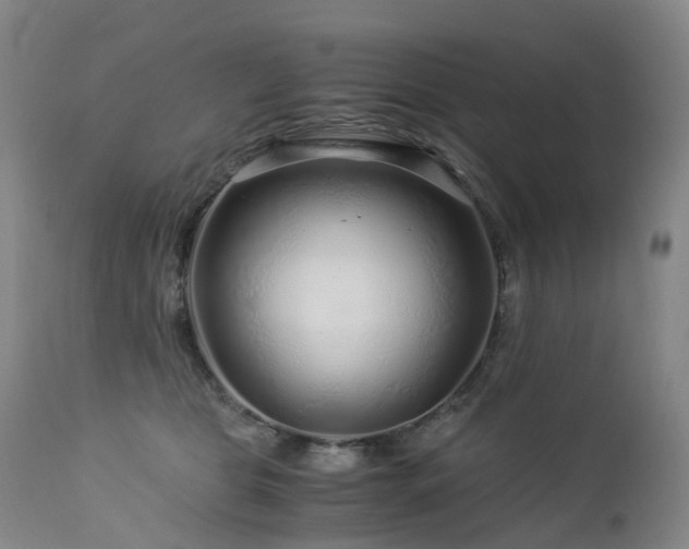 X0000112880469200908211455