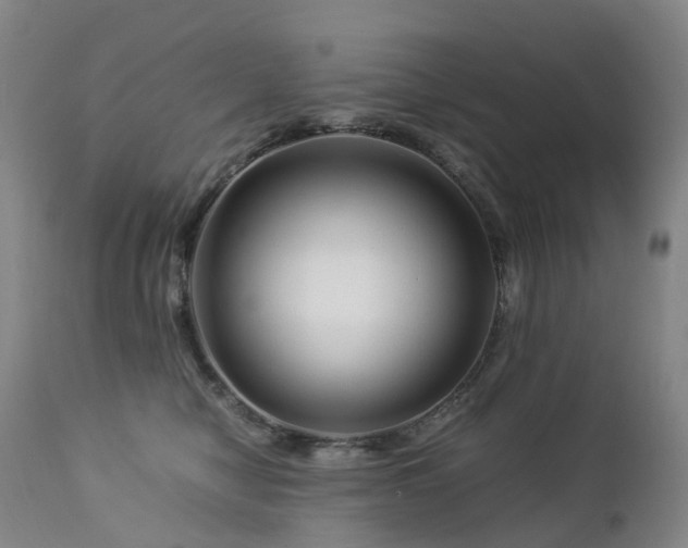 X0000112880470200908211455